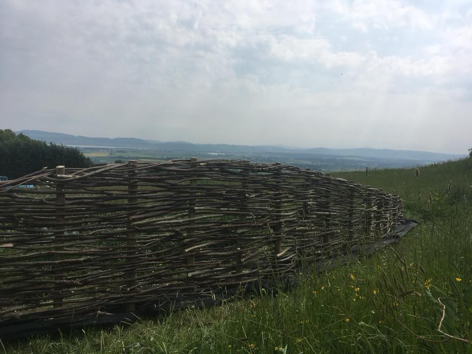 Willow Work